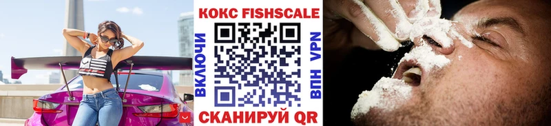 COCAIN Fish Scale дарнет шоп Чишмы