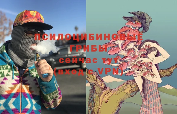 ешки Алзамай