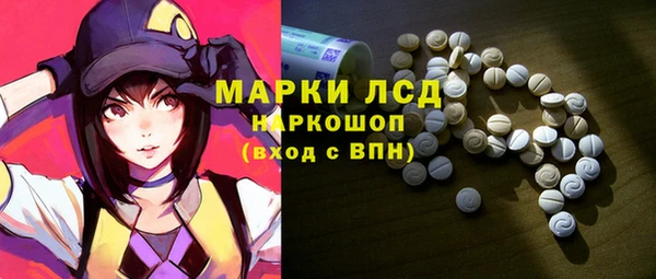 прущие грибы Абинск