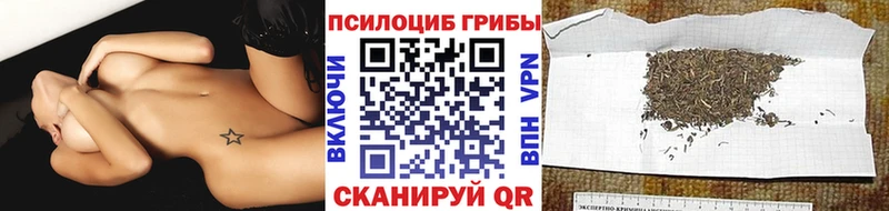 Псилоцибиновые грибы Cubensis  Чишмы 