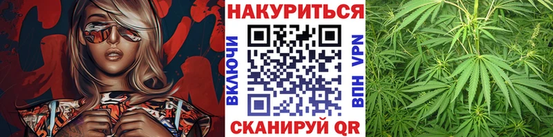Канабис семена  где купить наркоту  Чишмы 